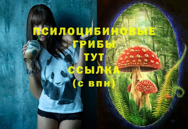 тгк Абинск