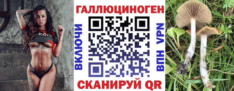 где купить наркотик  Великий Новгород  Псилоцибиновые грибы прущие грибы 